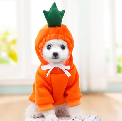 Dog Autumn and Winter Clothing Small and Medium Dog Love Two Legged Cat Cute Pet Clothing